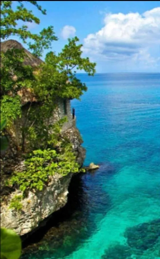 24 Edwards Ave ,Runaway Bay Jamaica Room 6