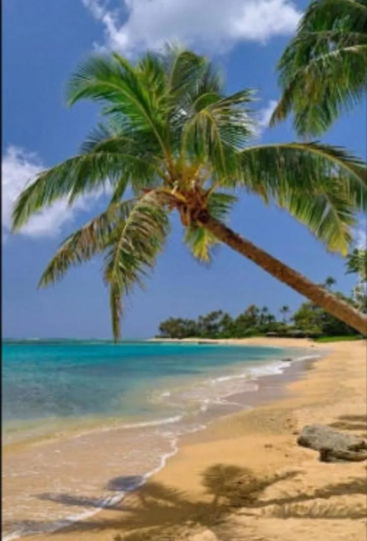 24 Edwards Ave ,Runaway Bay Jamaica Room 6